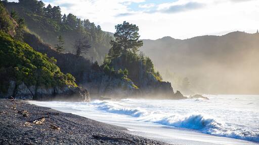 A rocky coastline with waves crashing onto the shore, surrounded by dense forest and hills.