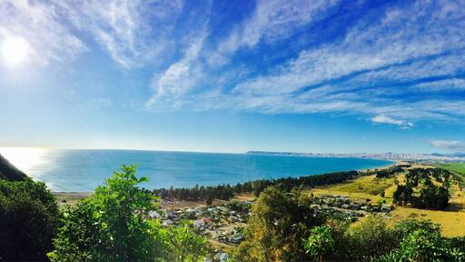 #newzealand #rarangi 🇳🇿☀️🌼