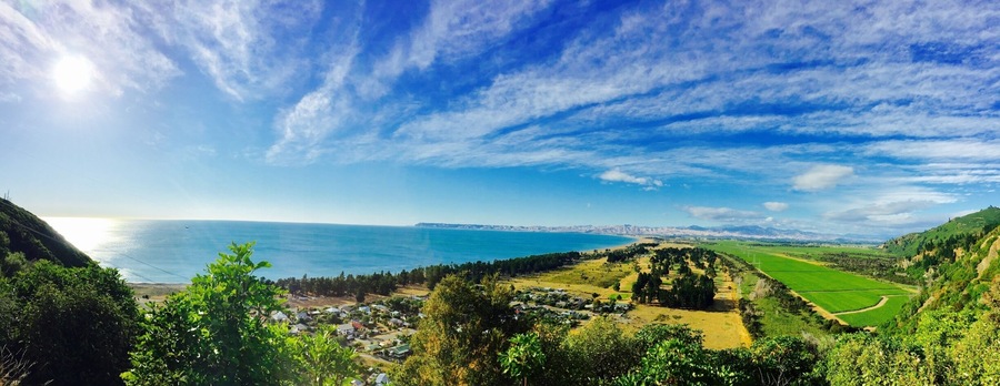 #newzealand #rarangi 🇳🇿☀️🌼