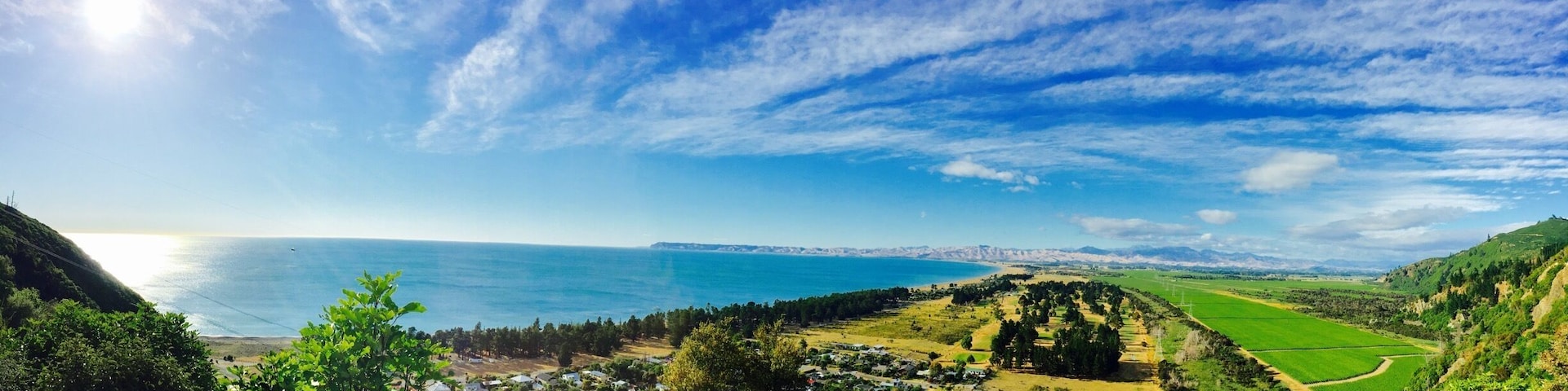 #newzealand #rarangi 🇳🇿☀️🌼