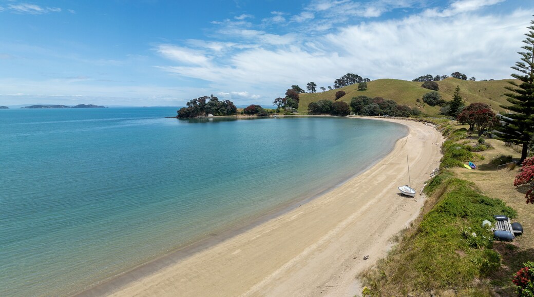 Flowering pohutukawa trees over looking a tropical beach with a small sail boat on it. Otautu bay, Coromandel Peninsula, New Zealand.
