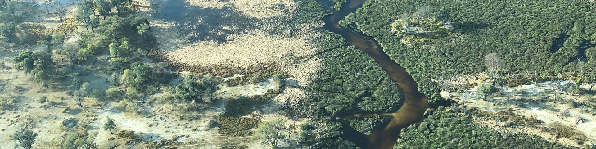 Flying with a Cessna upon the Okavango Delta in Botswana, where the river spreads out in the savannah and never reaches the sea.
During the dry season, when the water level is low, you can see all the tracks made by the animals - mainly elephants and hippos - and spot them from above!
A wilderness that will stay in my heart.
#LifeAtExpediaGroup