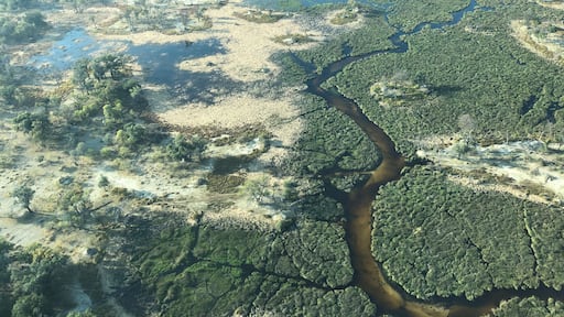 Flying with a Cessna upon the Okavango Delta in Botswana, where the river spreads out in the savannah and never reaches the sea.
During the dry season, when the water level is low, you can see all the tracks made by the animals - mainly elephants and hippos - and spot them from above!
A wilderness that will stay in my heart.
#LifeAtExpediaGroup