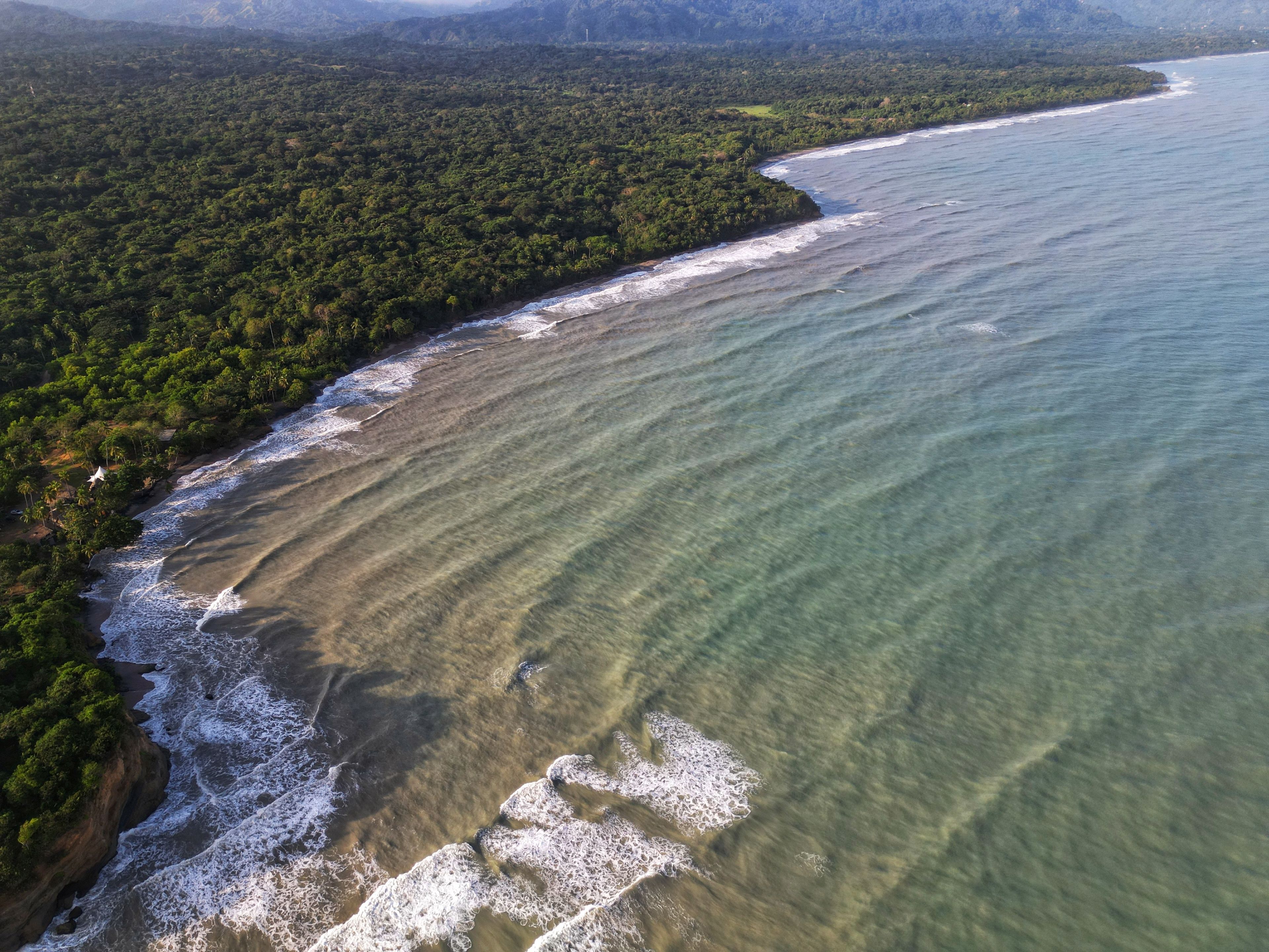 A coastal landscape with a clear beach, waves, and dense forest.