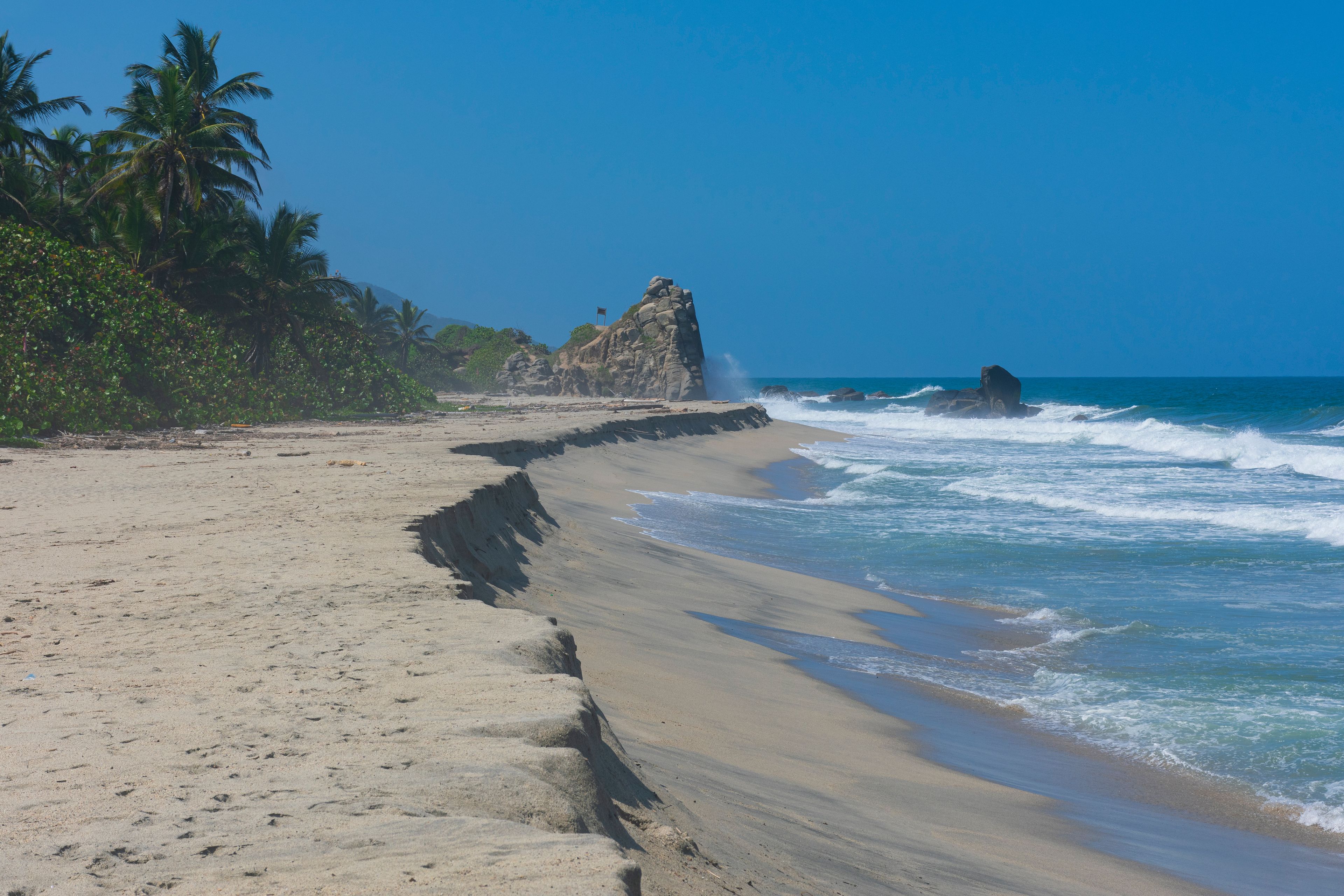 A sandy beach with palm trees and a rocky outcrop in the ocean.