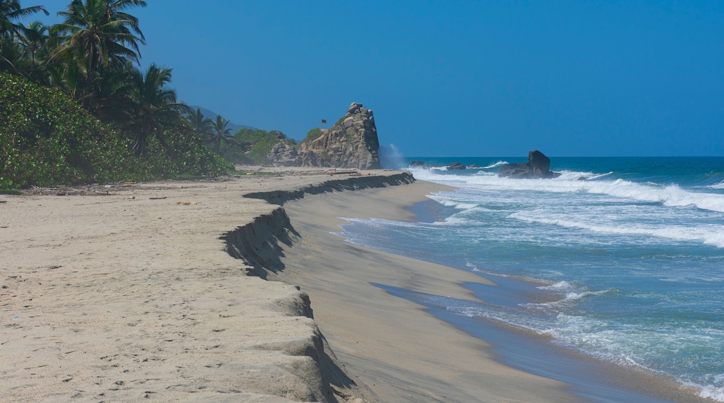 A sandy beach with palm trees and a rocky outcrop in the ocean.