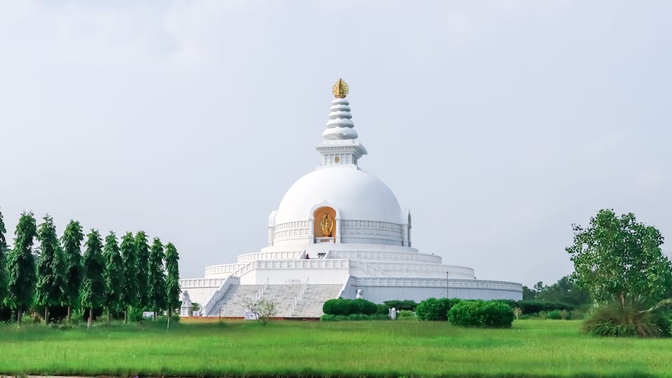A white stupa with a golden spire, surrounded by green trees and grass.