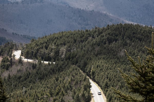 Hiking at Mt. Mitchell, North Carolina
