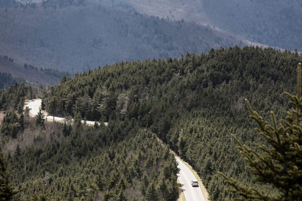 A winding road through a dense forest with a mountain in the background.