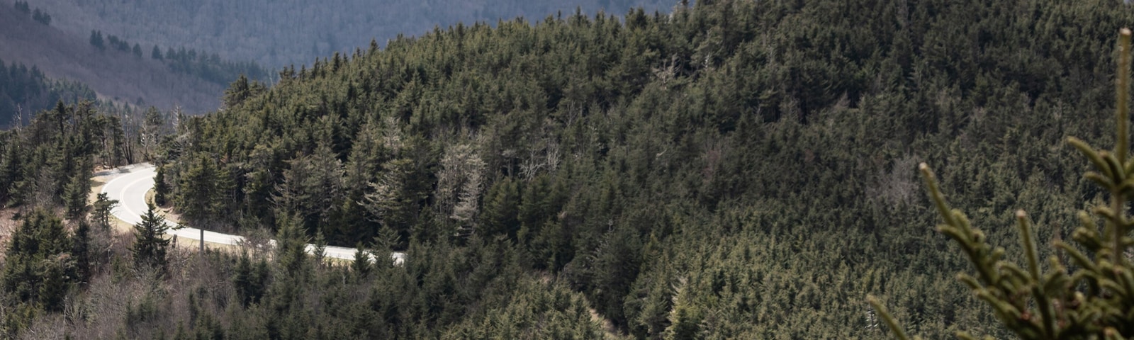 Hiking at Mt. Mitchell, North Carolina