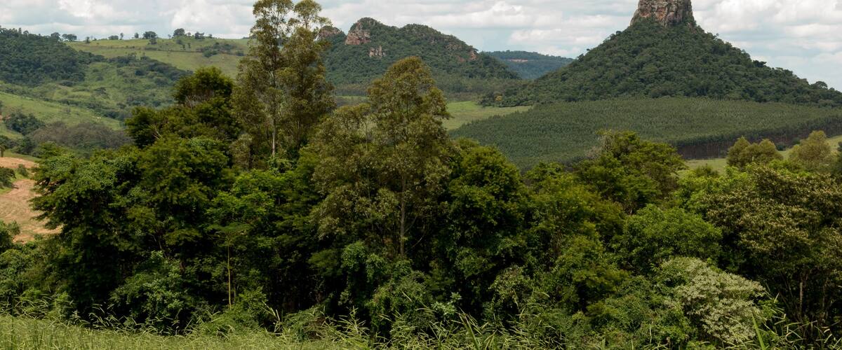 Serra do Cuscuzeiro município de Analândia, São Paulo, Brasil.