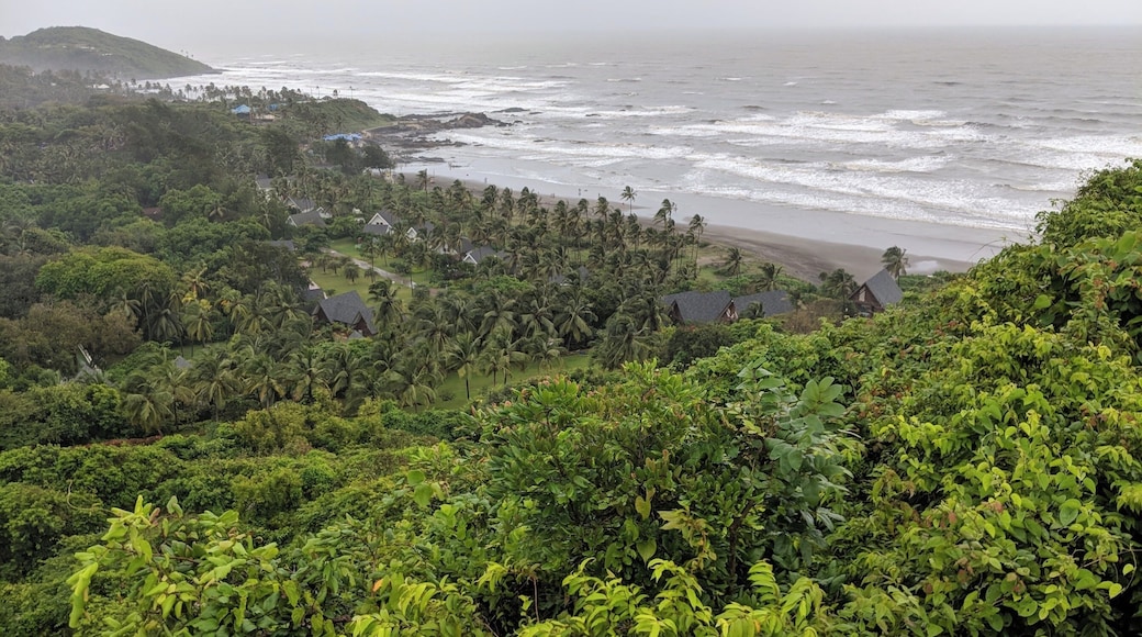 View of vagator beach from chapora fort at Goa India.
#outdoors #beach #monsoon #ocean #fort