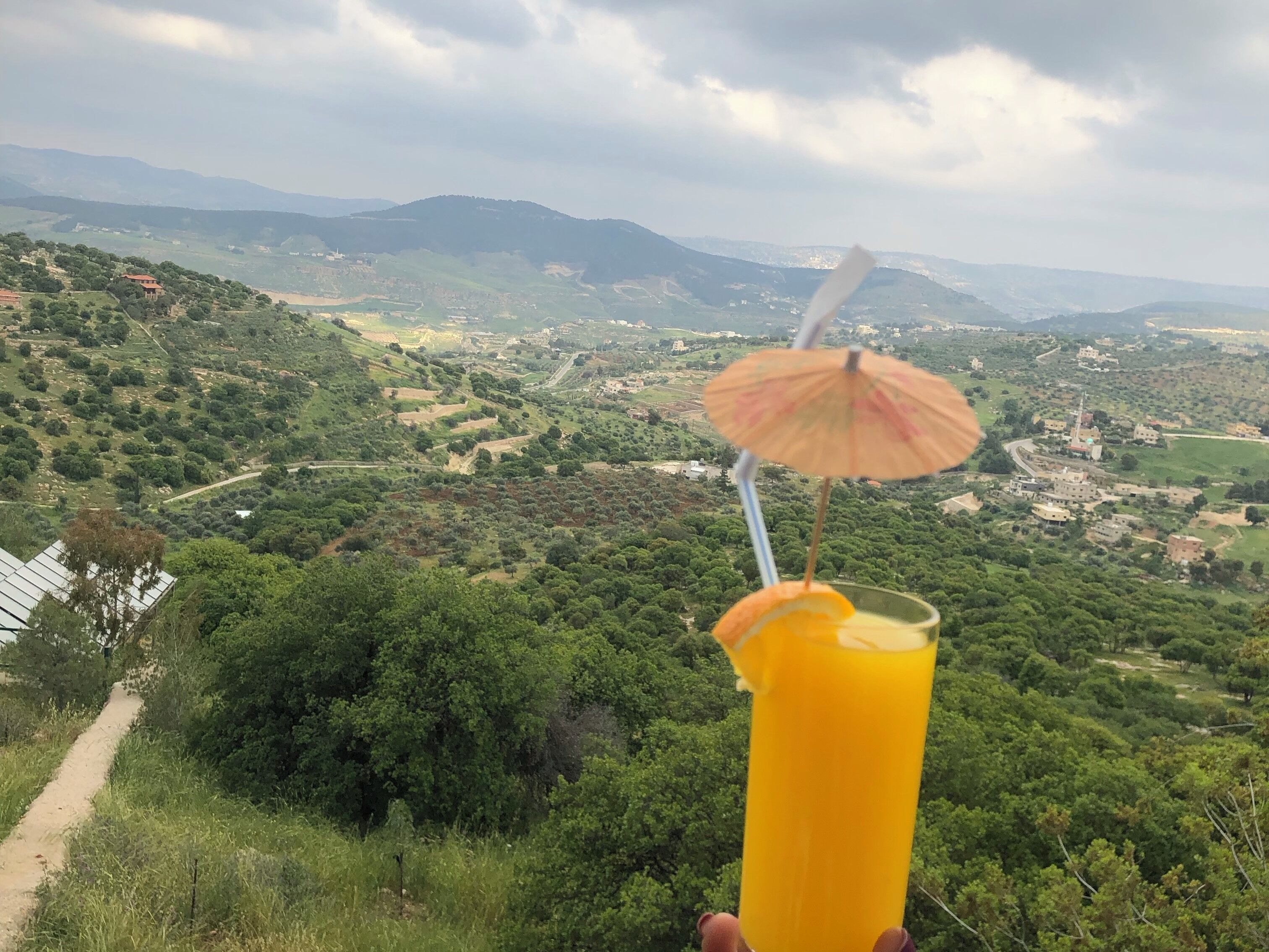 A hand holding a glass of orange juice with a straw and an umbrella, overlooking a lush valley with scattered buildings and hills.