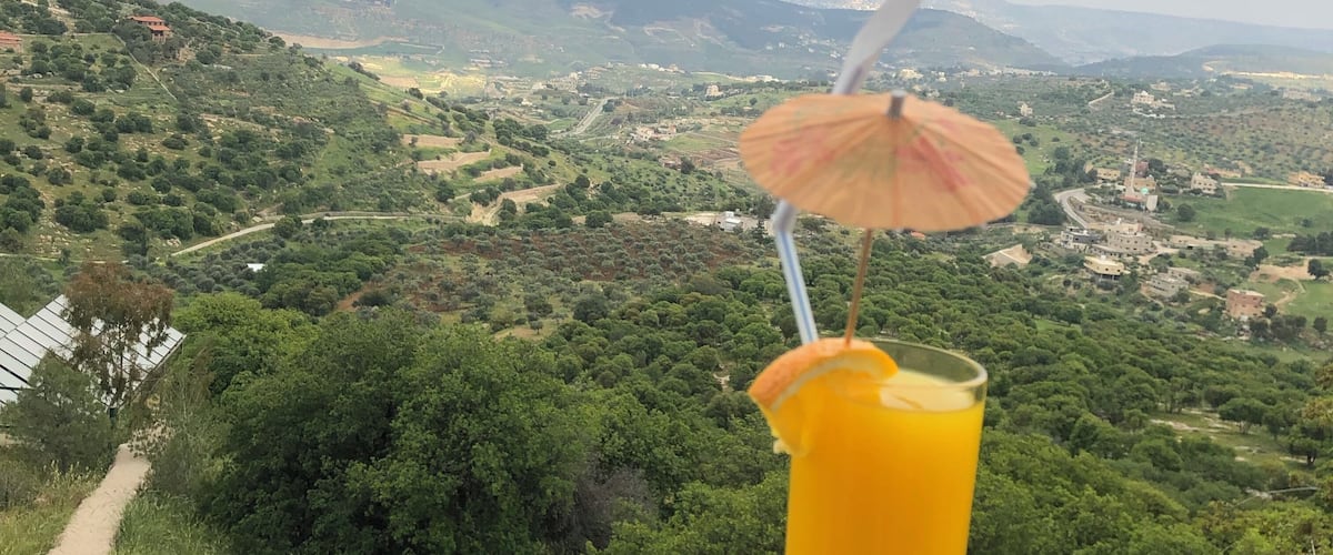 A hand holding a glass of orange juice with a straw and an umbrella, overlooking a lush valley with scattered buildings and hills.