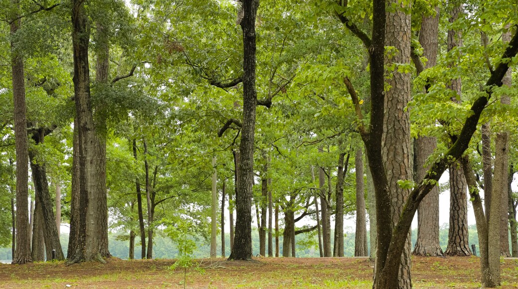 Warbird Park which includes a park