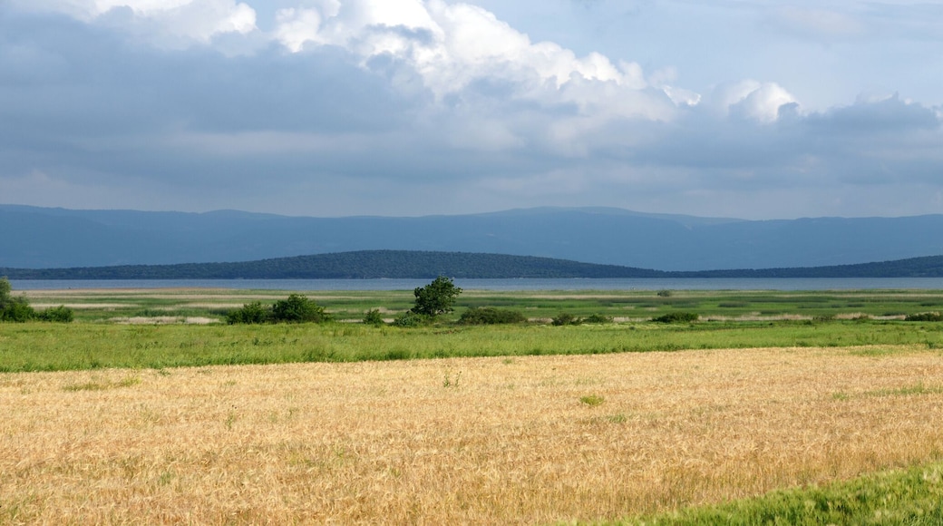 A view from Lake Manyas in Balikesir, Turkey.