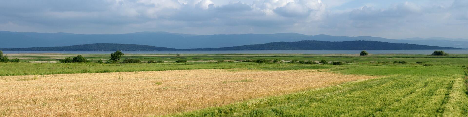 A view from Lake Manyas in Balikesir, Turkey.