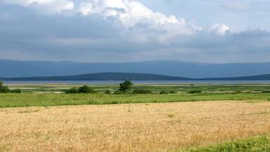 A view from Lake Manyas in Balikesir, Turkey.