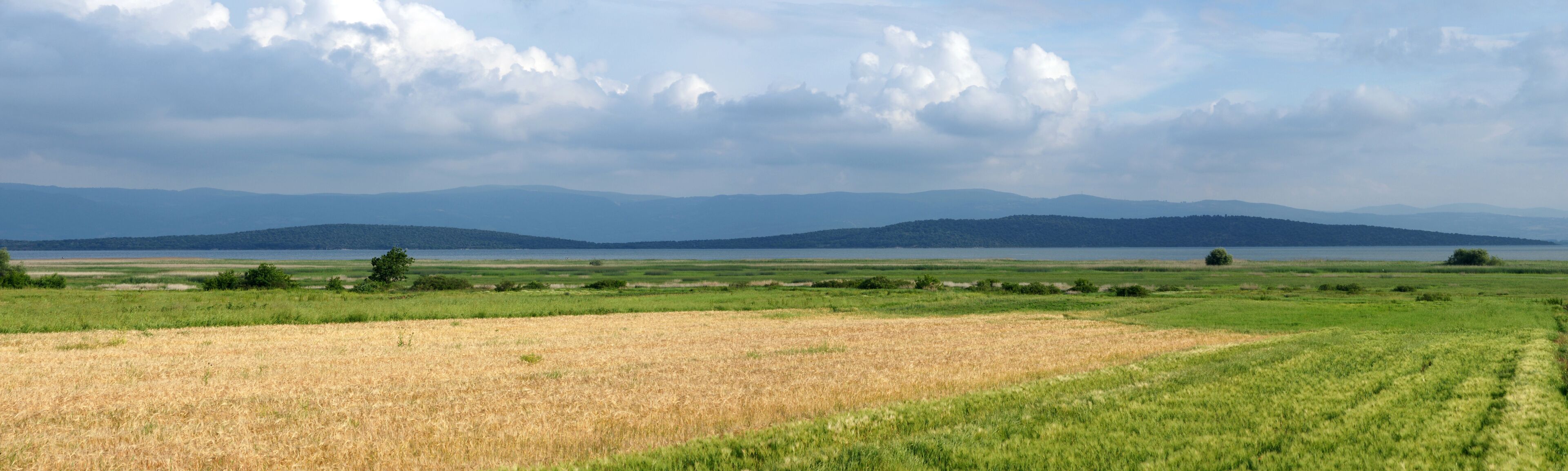 A vast agricultural landscape with fields of wheat and green grass, a body of water, and distant mountains under a cloudy sky.