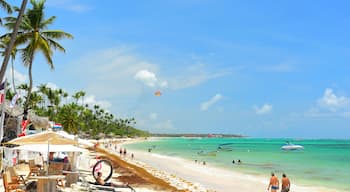 El Cortecito, Punta Cana, Dominican Republic- June 12, 2025: People walking along the coastline and sunbathing on one of the best beach in Caribbean area. Lots of seaweed, specifically Sargassum.