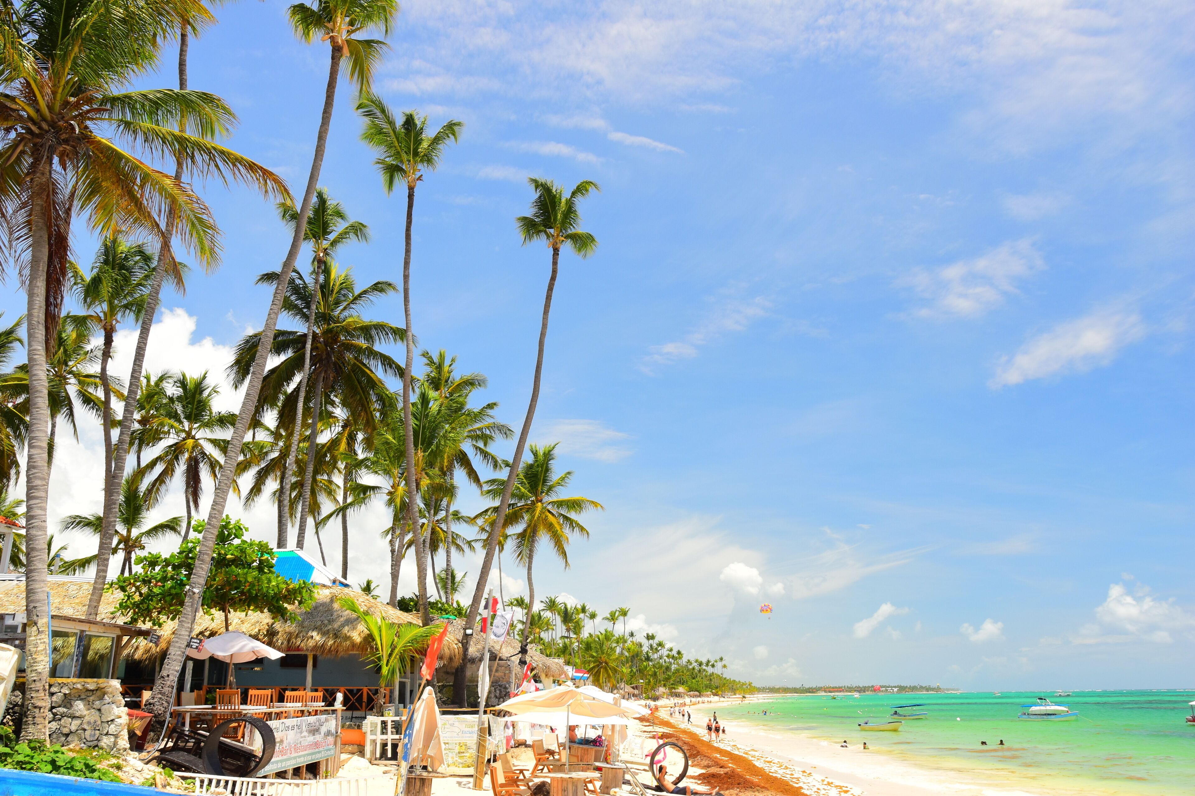 El Cortecito, Punta Cana, Dominican Republic- June 12, 2025: People walking along the coastline and sunbathing on one of the best beach in Caribbean area. Lots  of seaweed, specifically Sargassum.