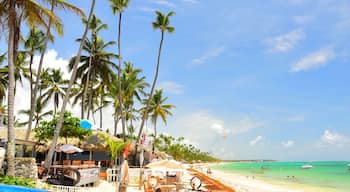El Cortecito, Punta Cana, Dominican Republic- June 12, 2025: People walking along the coastline and sunbathing on one of the best beach in Caribbean area. Lots of seaweed, specifically Sargassum.