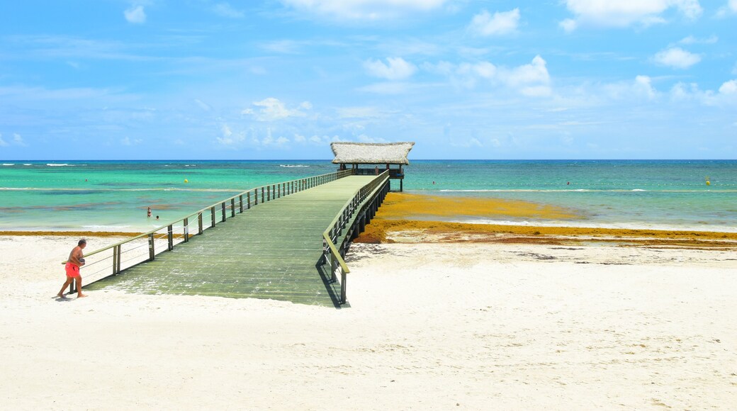 El Cortecito, Punta Cana, Dominican Republic- June 12, 2025: People walking along the coastline and sunbathing on one of the best beach in Caribbean area. Lots of seaweed, specifically Sargassum.