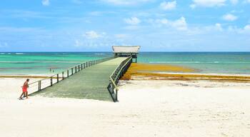 El Cortecito, Punta Cana, Dominican Republic- June 12, 2025: People walking along the coastline and sunbathing on one of the best beach in Caribbean area. Lots of seaweed, specifically Sargassum.