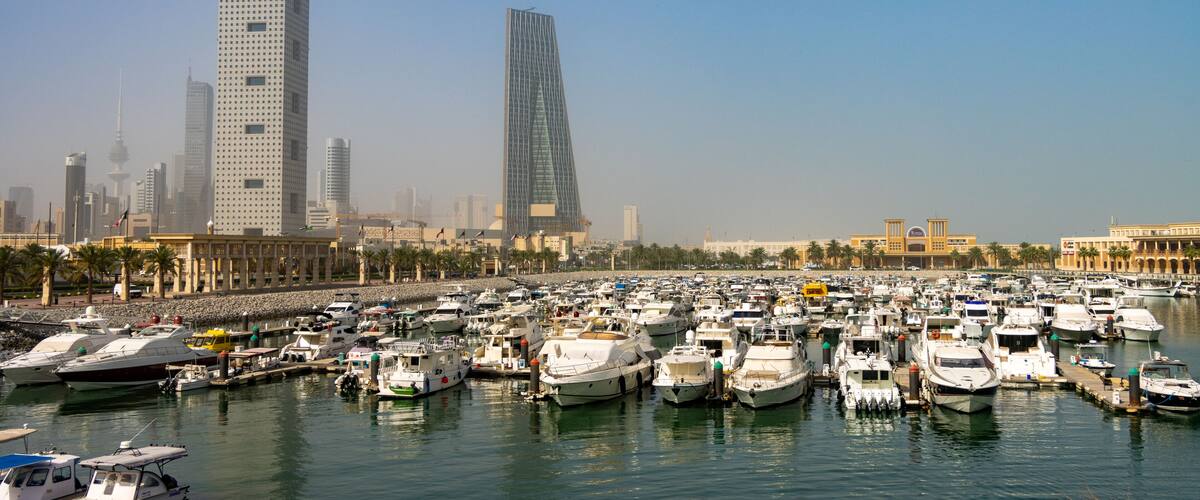 A marina with numerous boats docked, a city skyline with modern skyscrapers, and palm trees lining the waterfront.