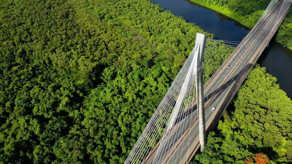 A suspension bridge over a river, surrounded by dense forest.