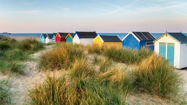 Beach huts in the sand dunes at Southwold