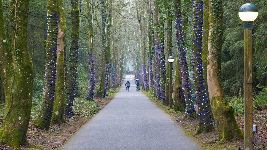 Center Parcs Longleat Forest