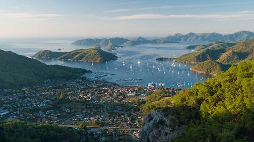 Une ville côtière caractérisée par une densité de logements élevée, un port de plaisance abritant de nombreux bateaux et des collines environnantes.