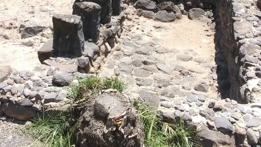 Remains of St. Peter's home are underneath that round building structure