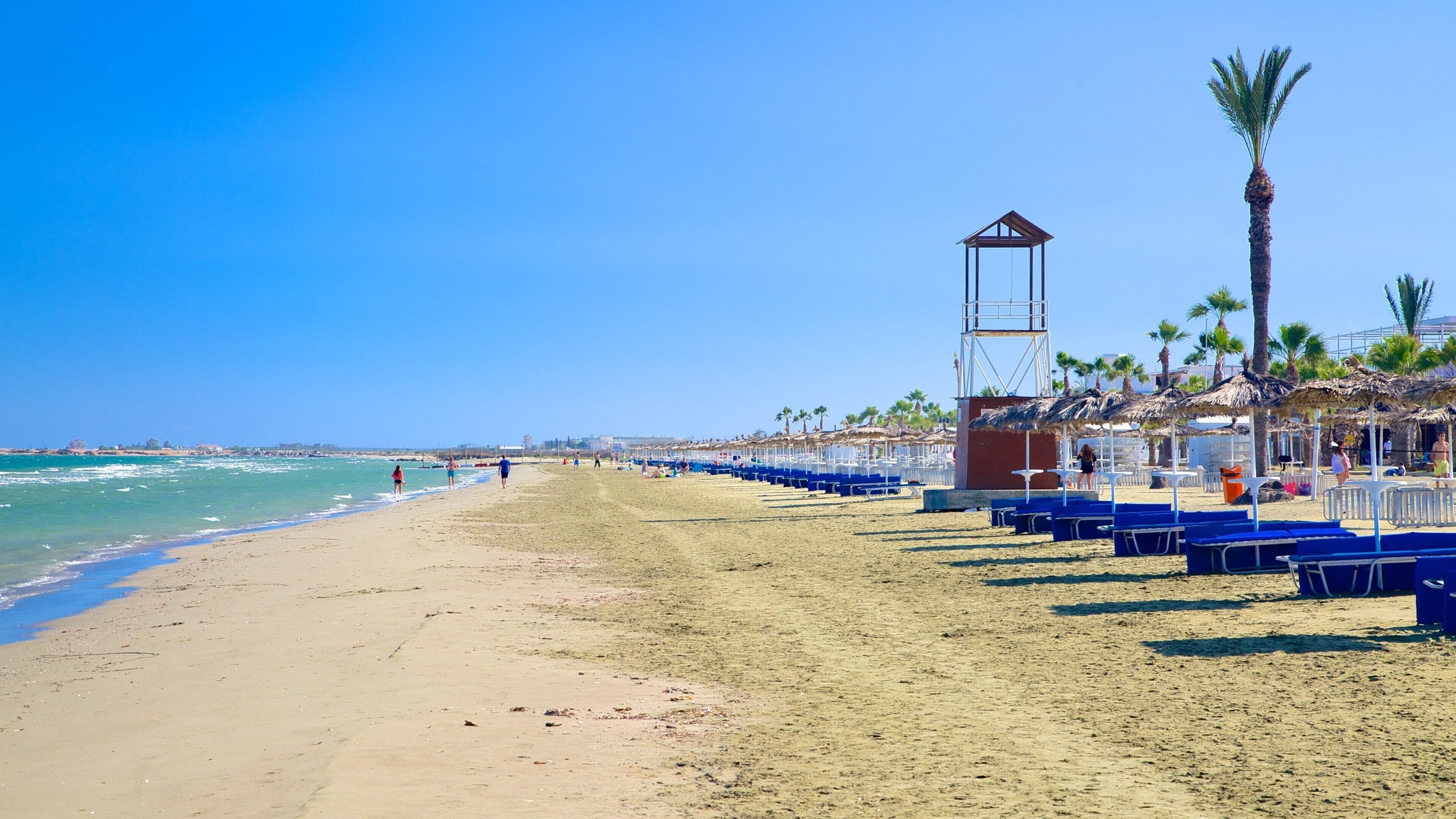 Larnaca featuring a beach, tropical scenes and a coastal town