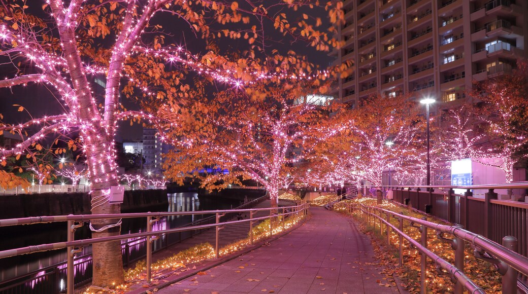 Lightscape of The Meguro River Winter Illuminations, Tokyo, Japan
