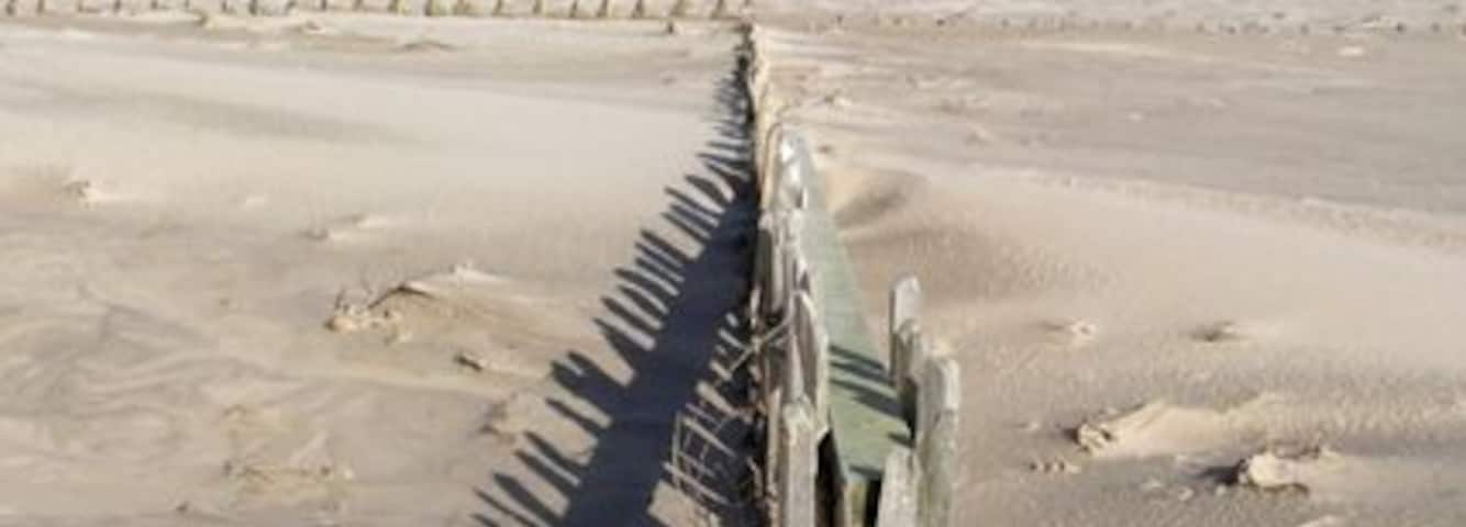 Remaining fence (3)