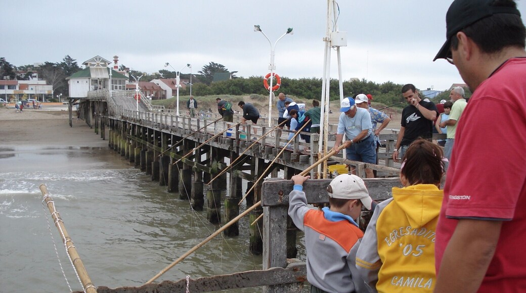 Pier on the Atlantic coast of the province of Buenos Aires in the city of Mar del tuyú