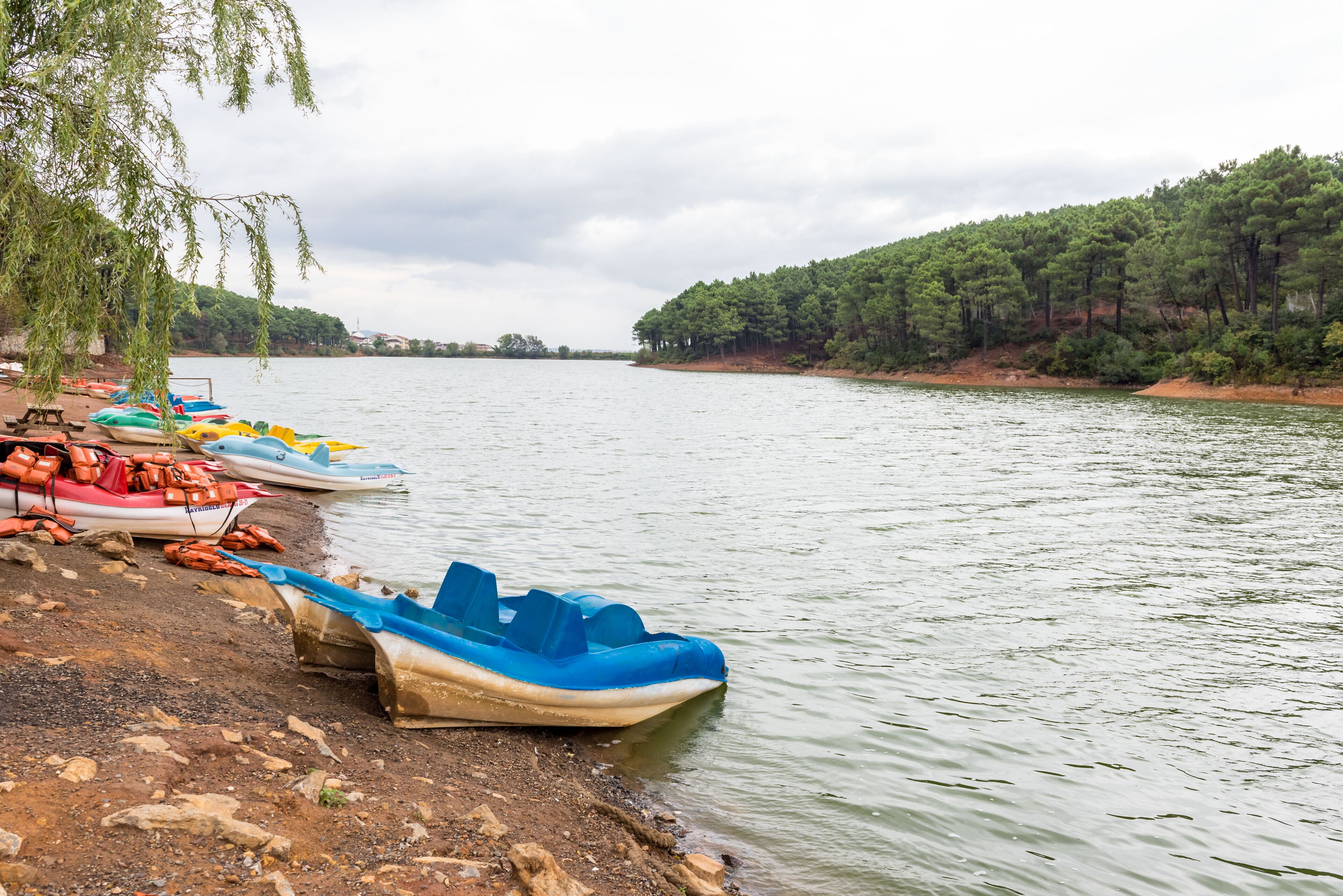Lake in the Aydos Forest Istanbul,Turkey