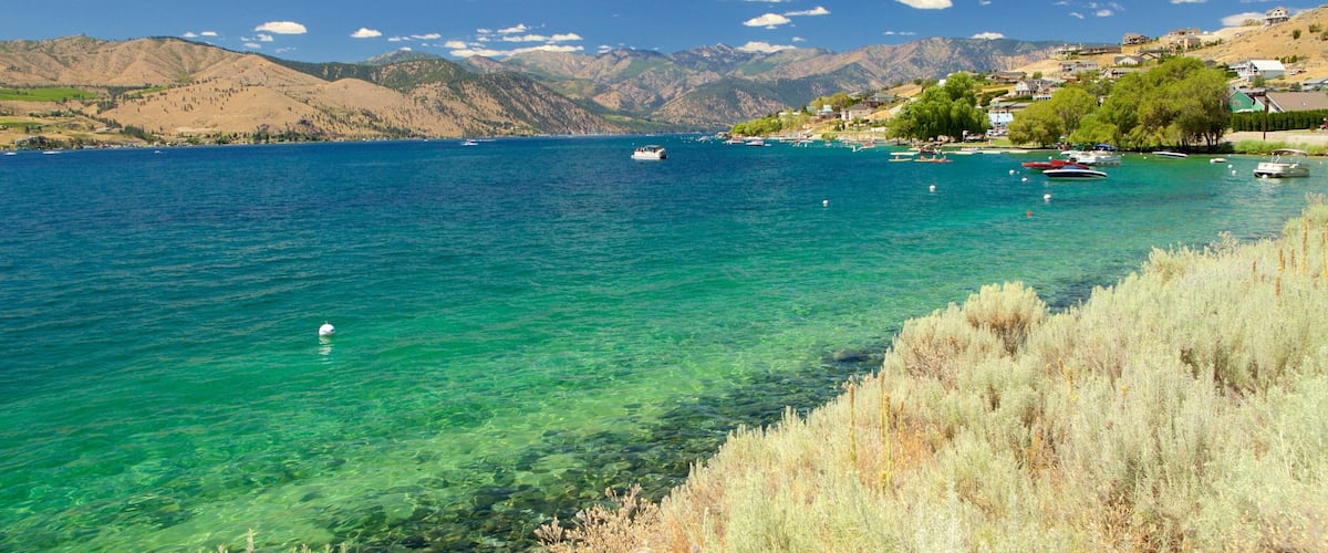 Lake Chelan showing landscape views, general coastal views and a coastal town
