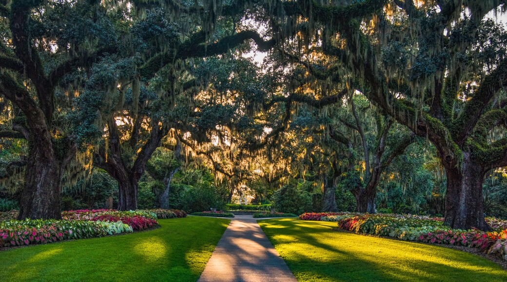 Brookgreen Gardens in Myrtle Beach, South Carolina, USA