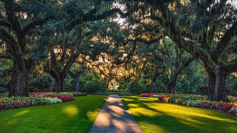 Brookgreen Gardens in Myrtle Beach, South Carolina, USA