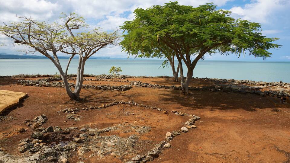 A coastal landscape with two trees, a rocky shoreline, and a calm sea under a partly cloudy sky.