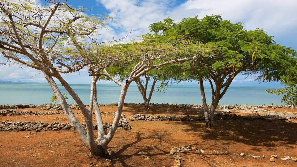 A coastal landscape with trees and a clear sky.