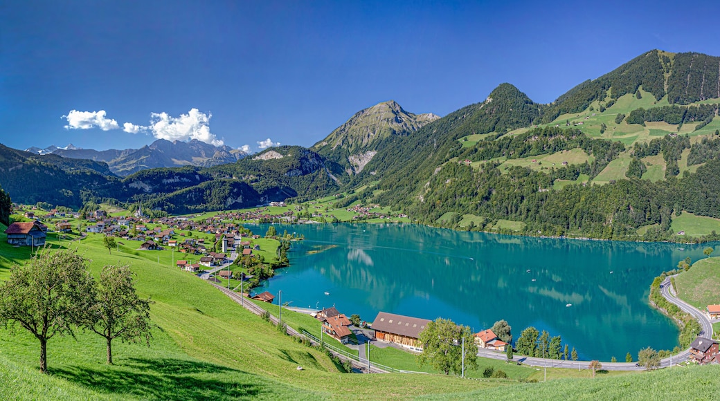 كانتون أوبوالدن