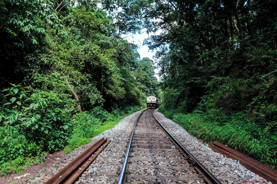 Headed to Dudhsagar Waterfalls. Check out the link 👉 https://wp.me/p8Rf0W-dv for more.
#travel #trekking #adventure #goa #dudhsagarwaterfalls #asia #india #solotravel