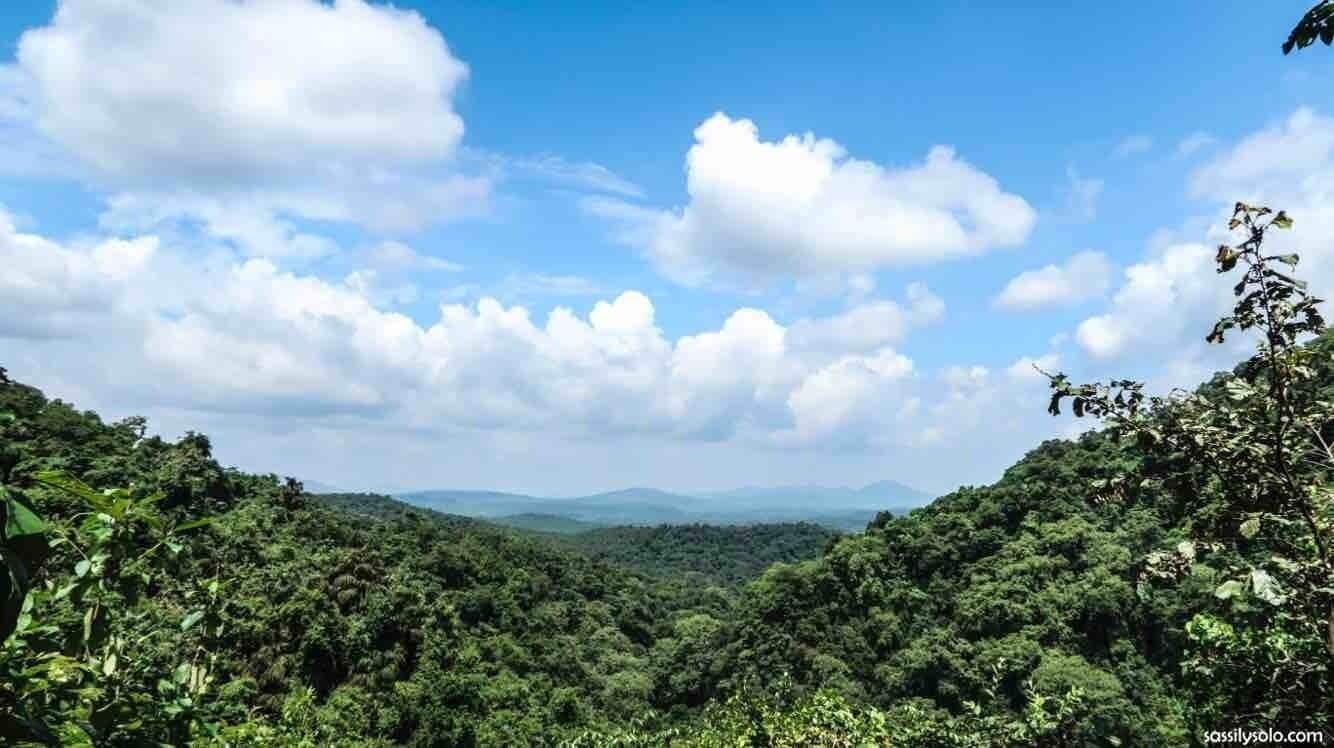 A lush green valley with dense foliage and a clear blue sky with clouds.