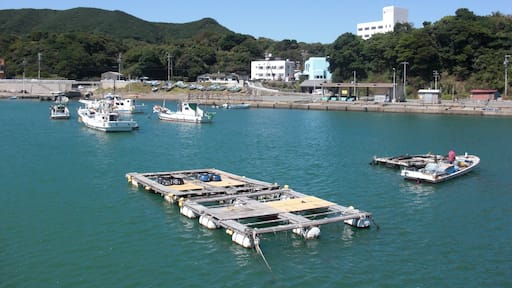 This is a scene of Kuzaki fish port in Toba, Mie, Japan.