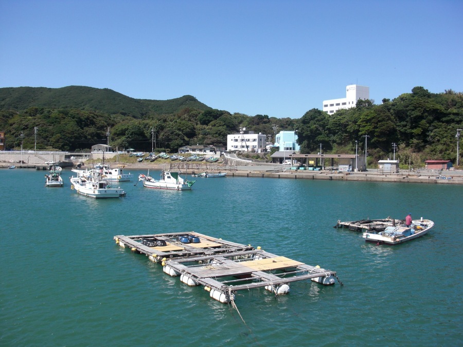 This is a scene of Kuzaki fish port in Toba, Mie, Japan.