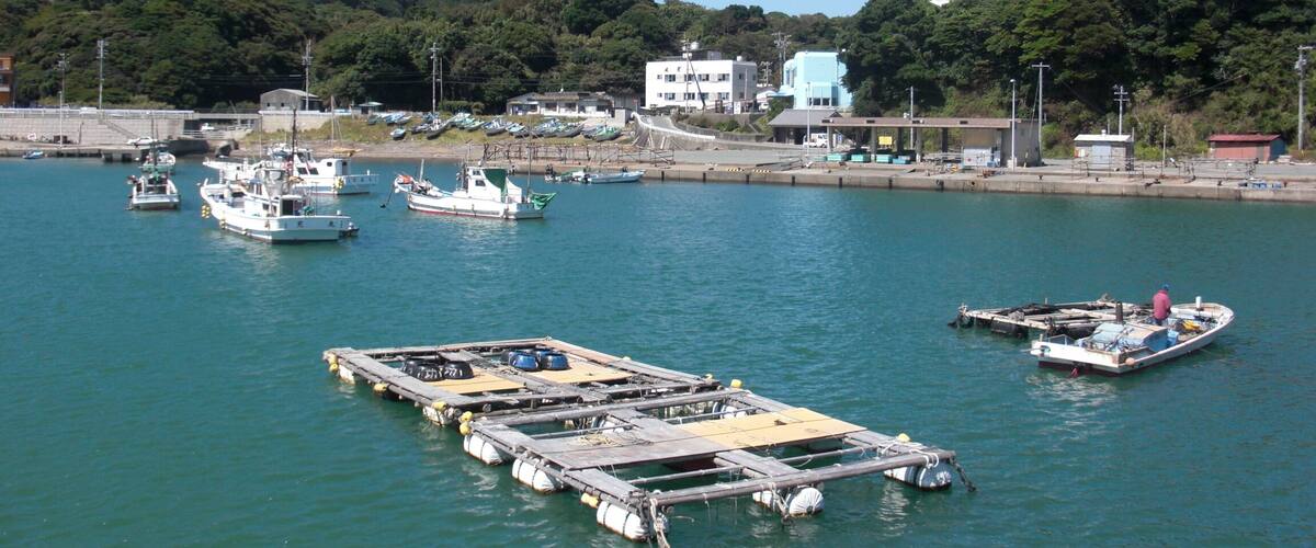 A harbor with boats docked, a floating dock, and buildings in the background.